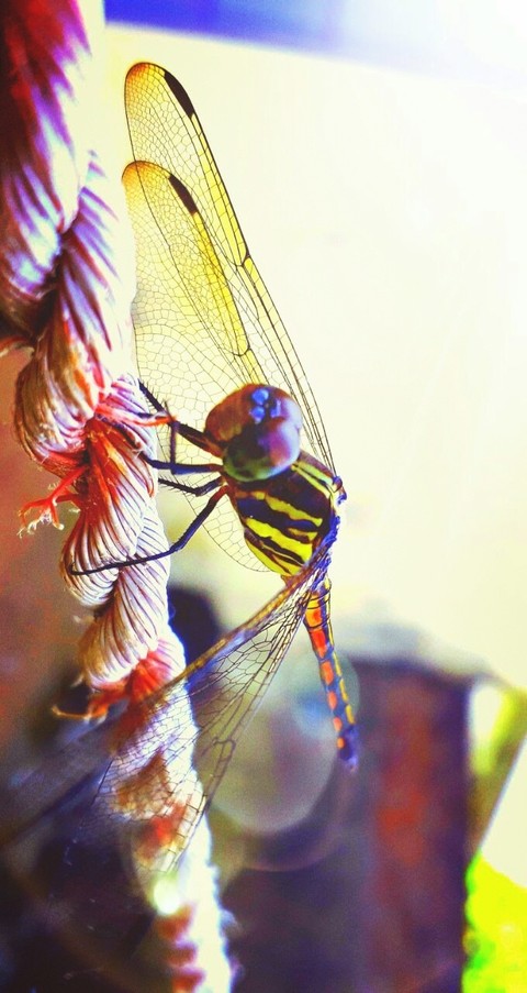 #Photography
