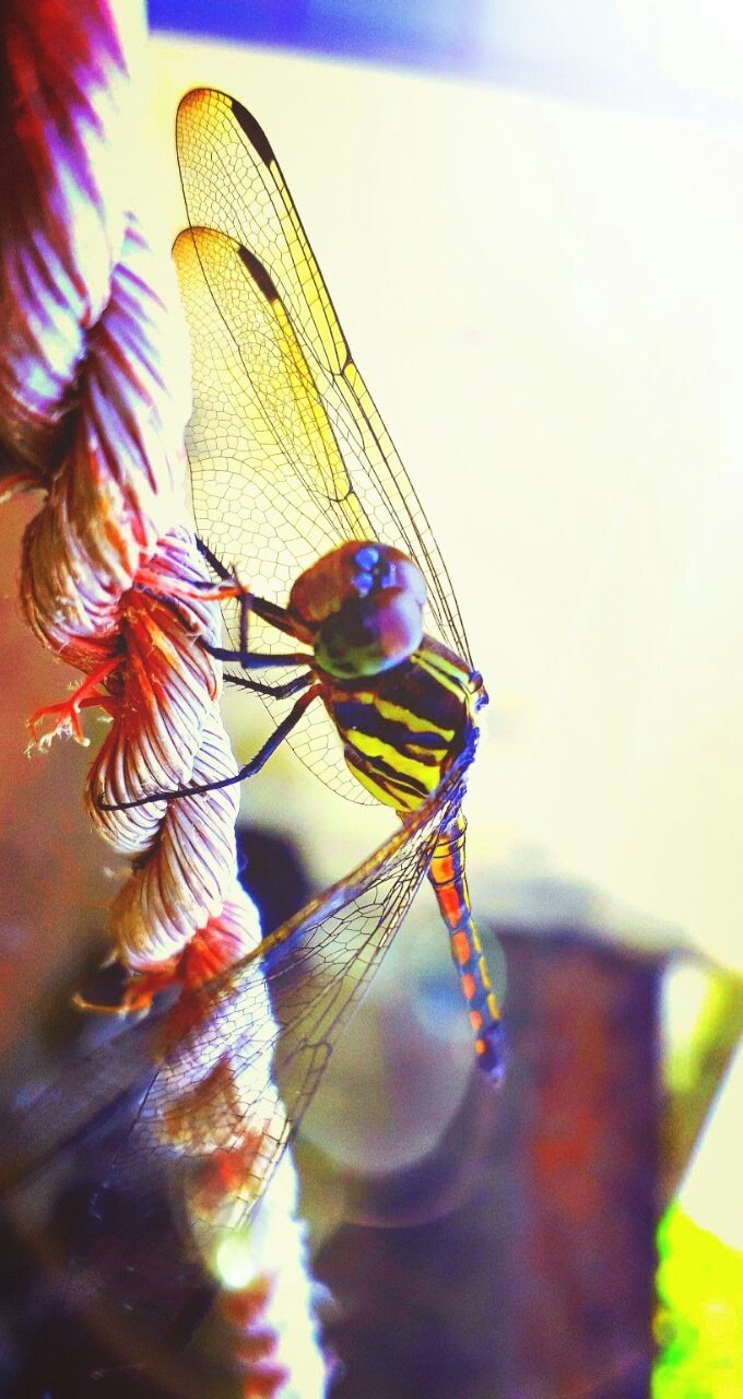 #Photography