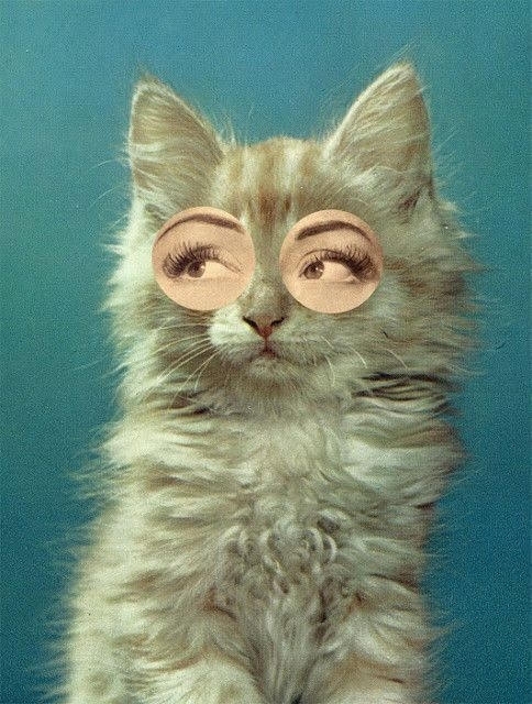 catttttt