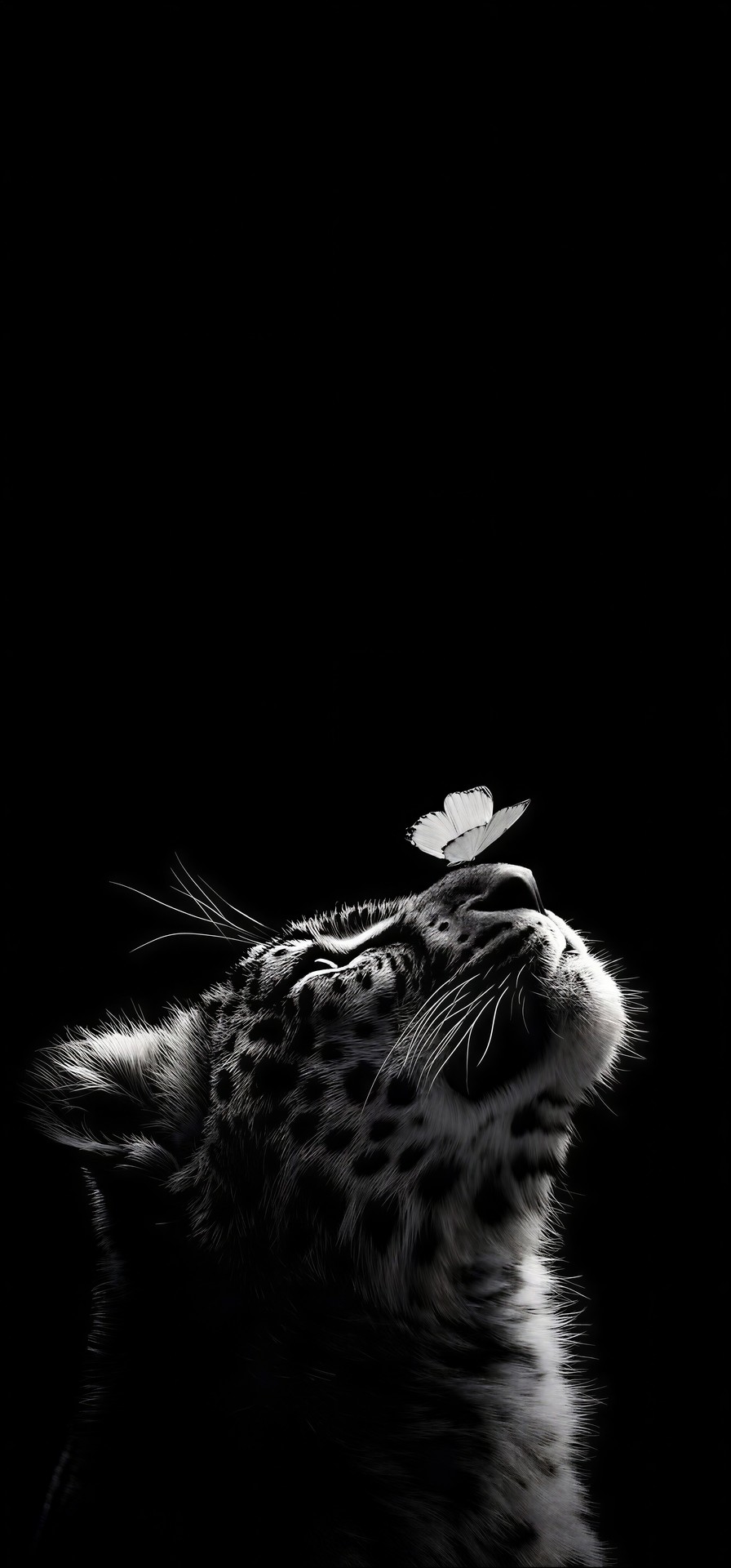 шпалери animation, felidae