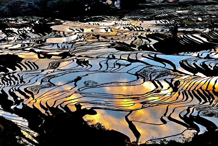 雲南元陽梯田
