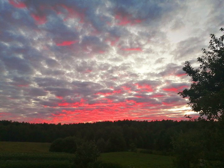 a quick and beautiful scenery shot driving down the road