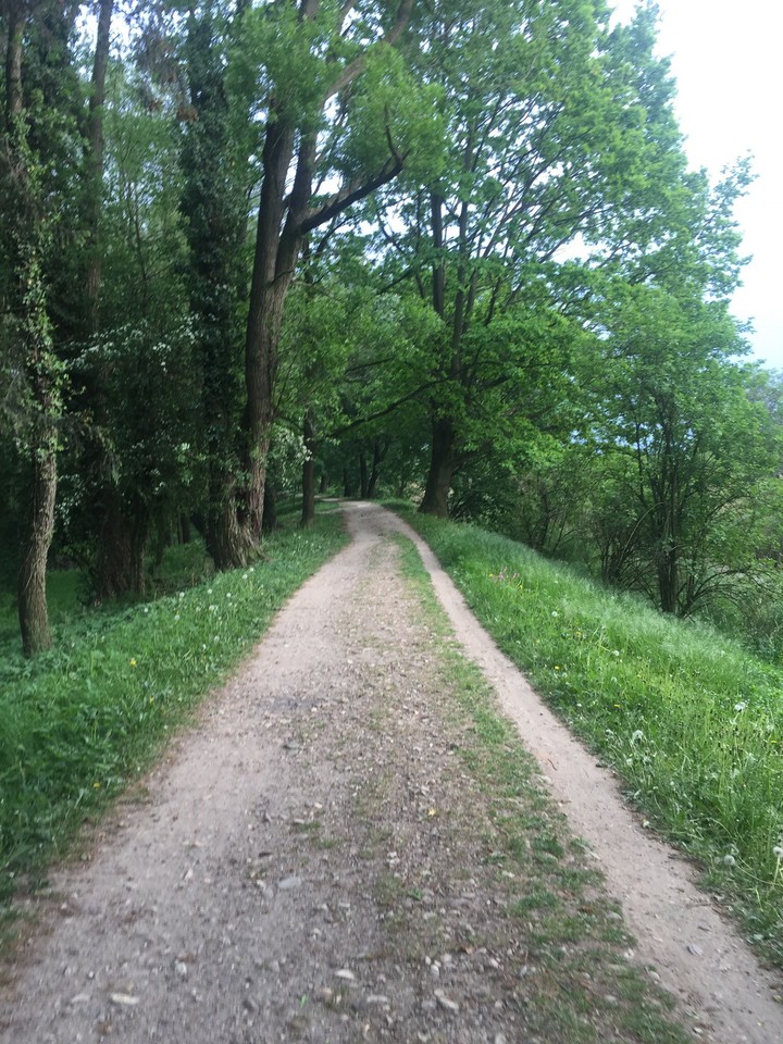 park