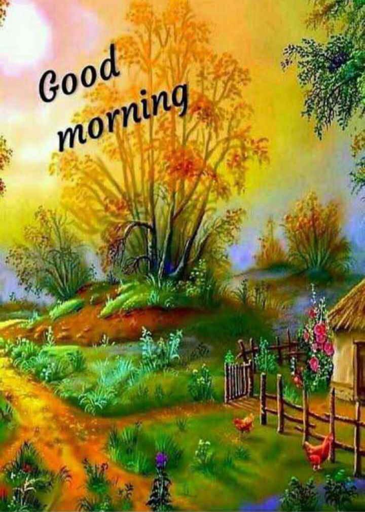 Good Morning