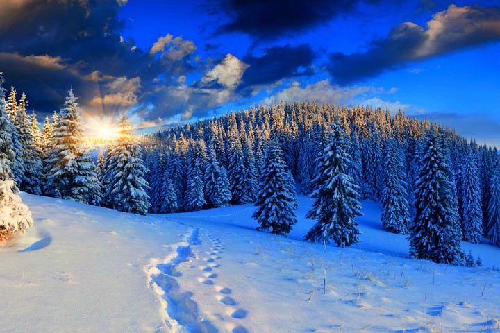Winter magic