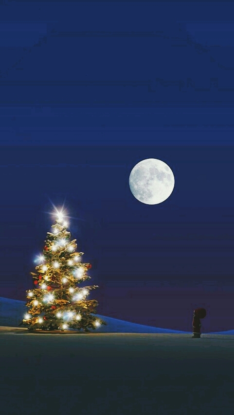 Christmas❤