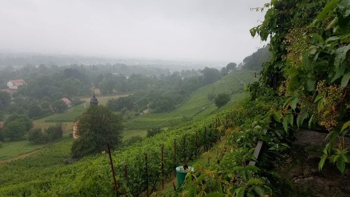 Weinberg