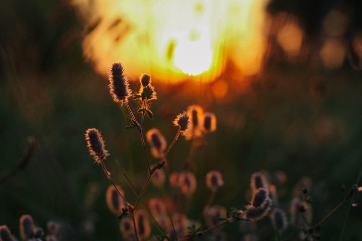 природа