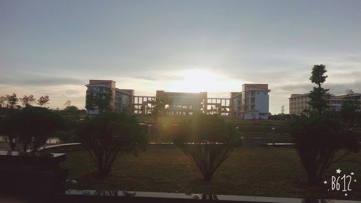 Sunshine