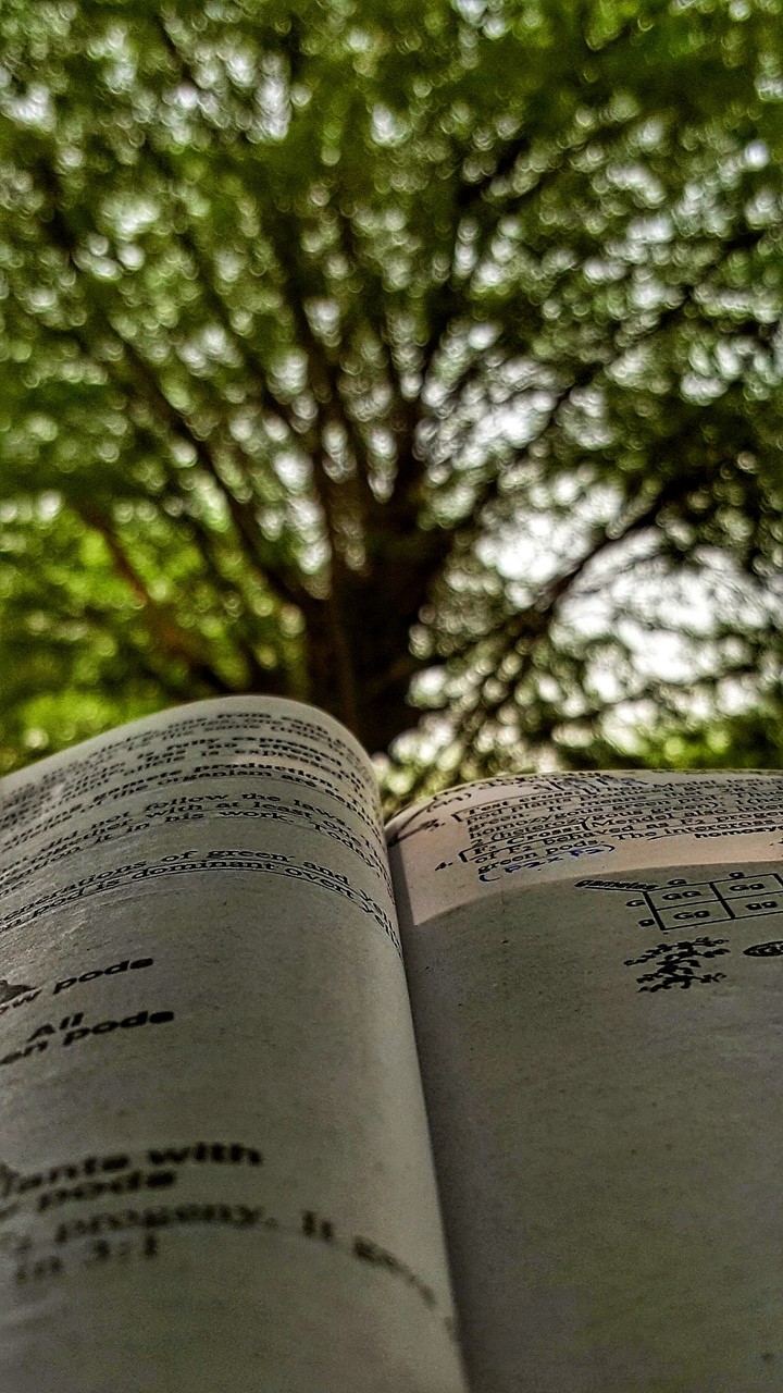 book