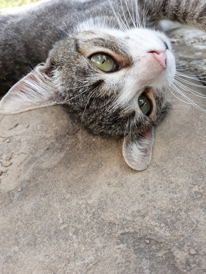 =♡