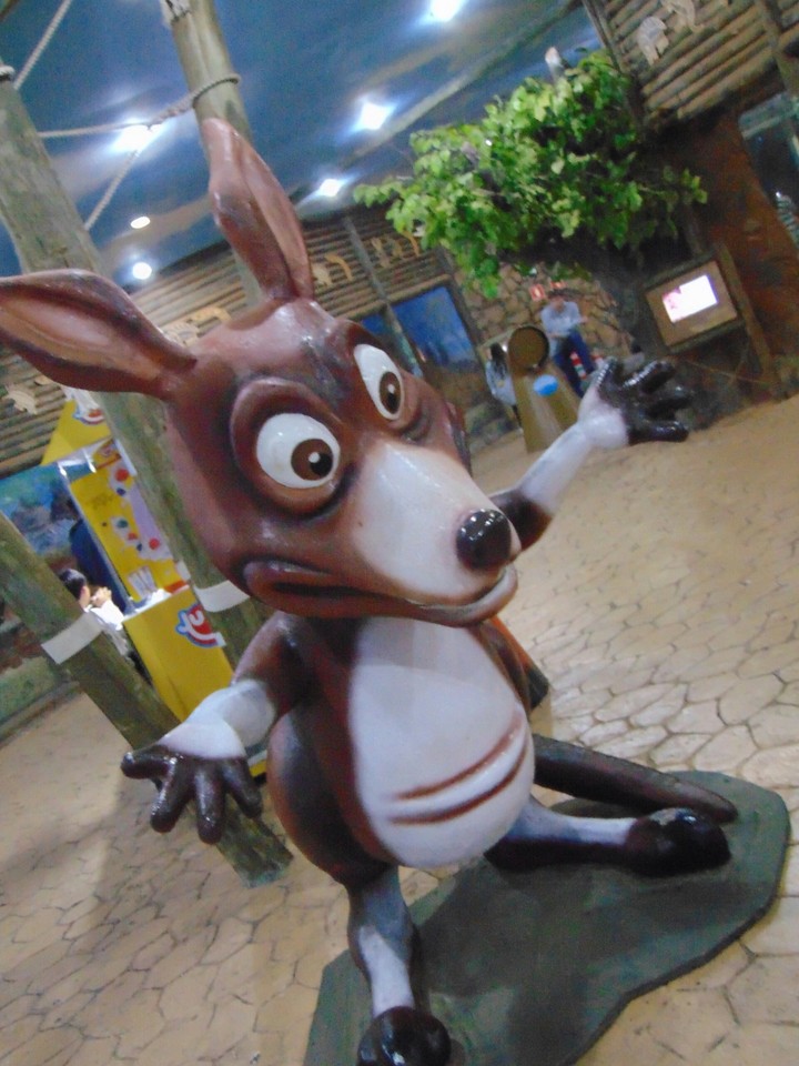 canguru