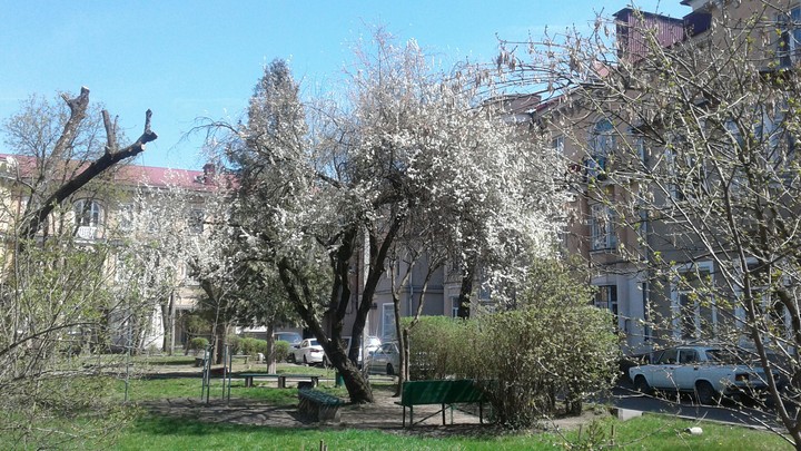 Апрель