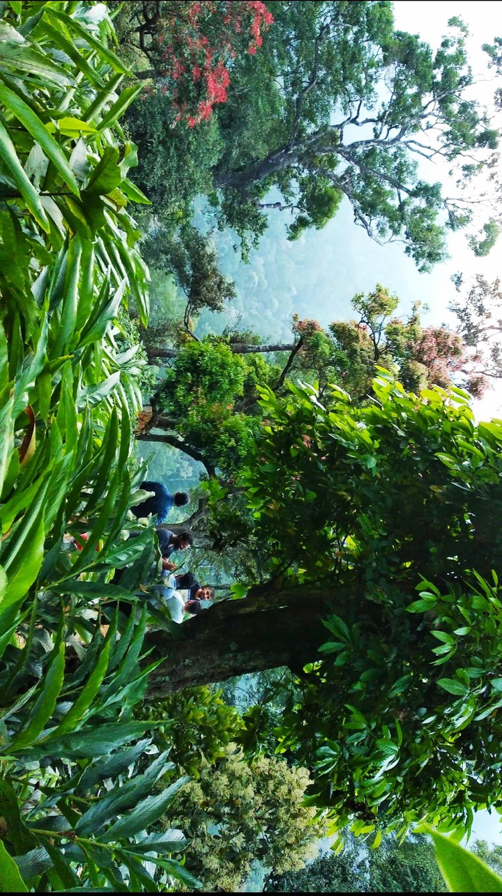 #beauty of paradise #kerala #kattapana