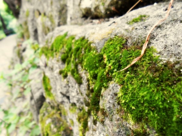 stone
