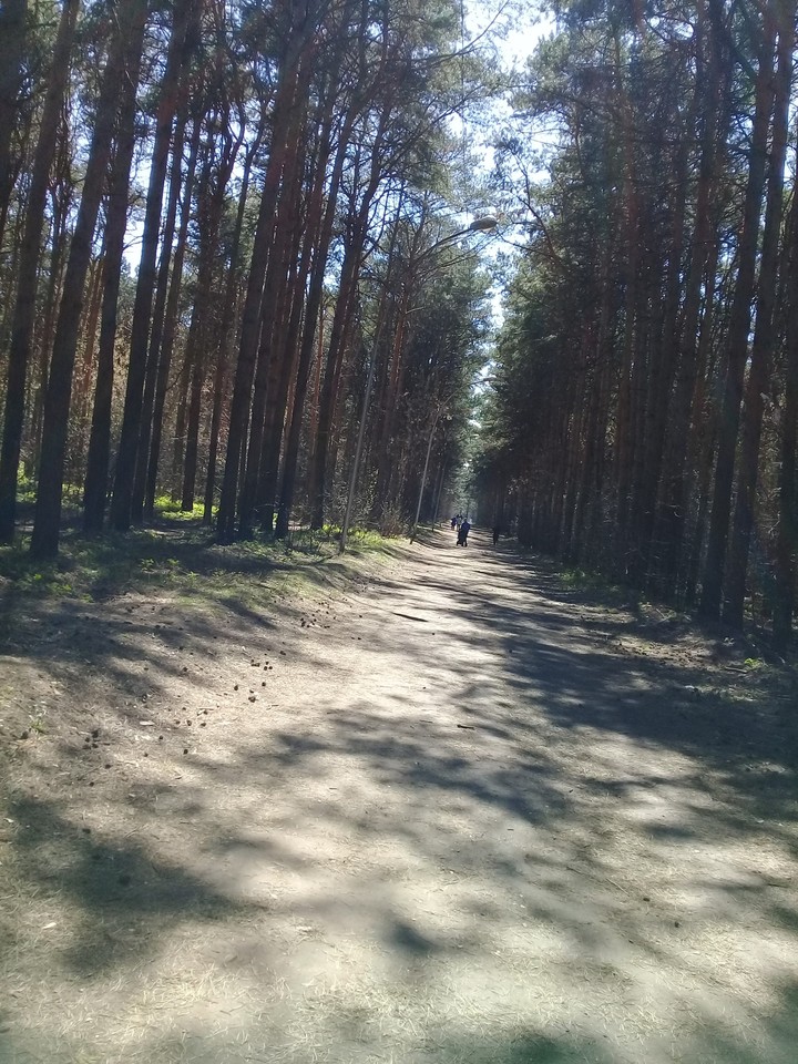 Park