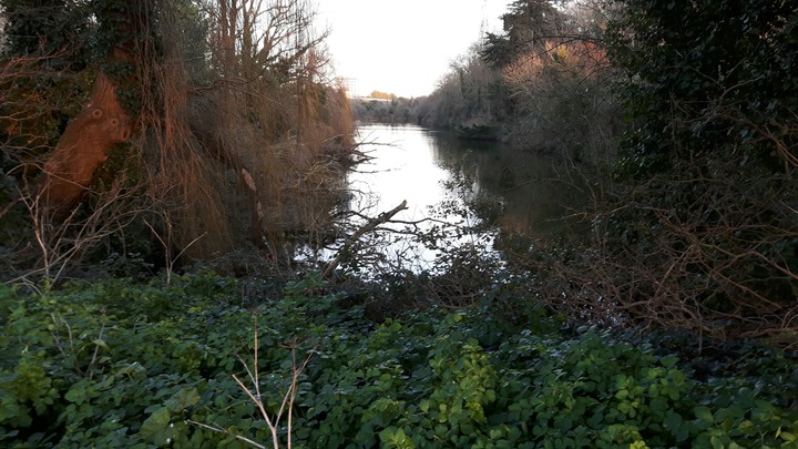 Hilsea Moat