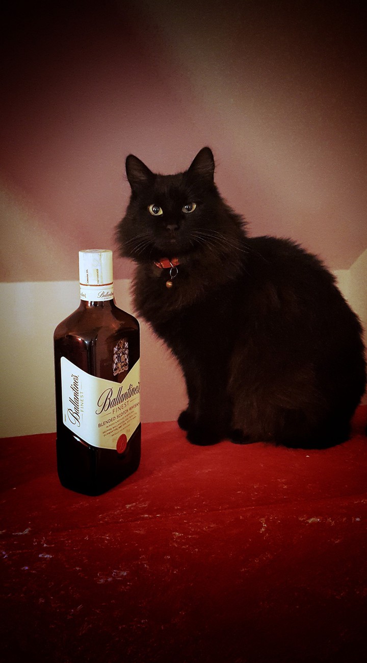 Can we have a drink?
