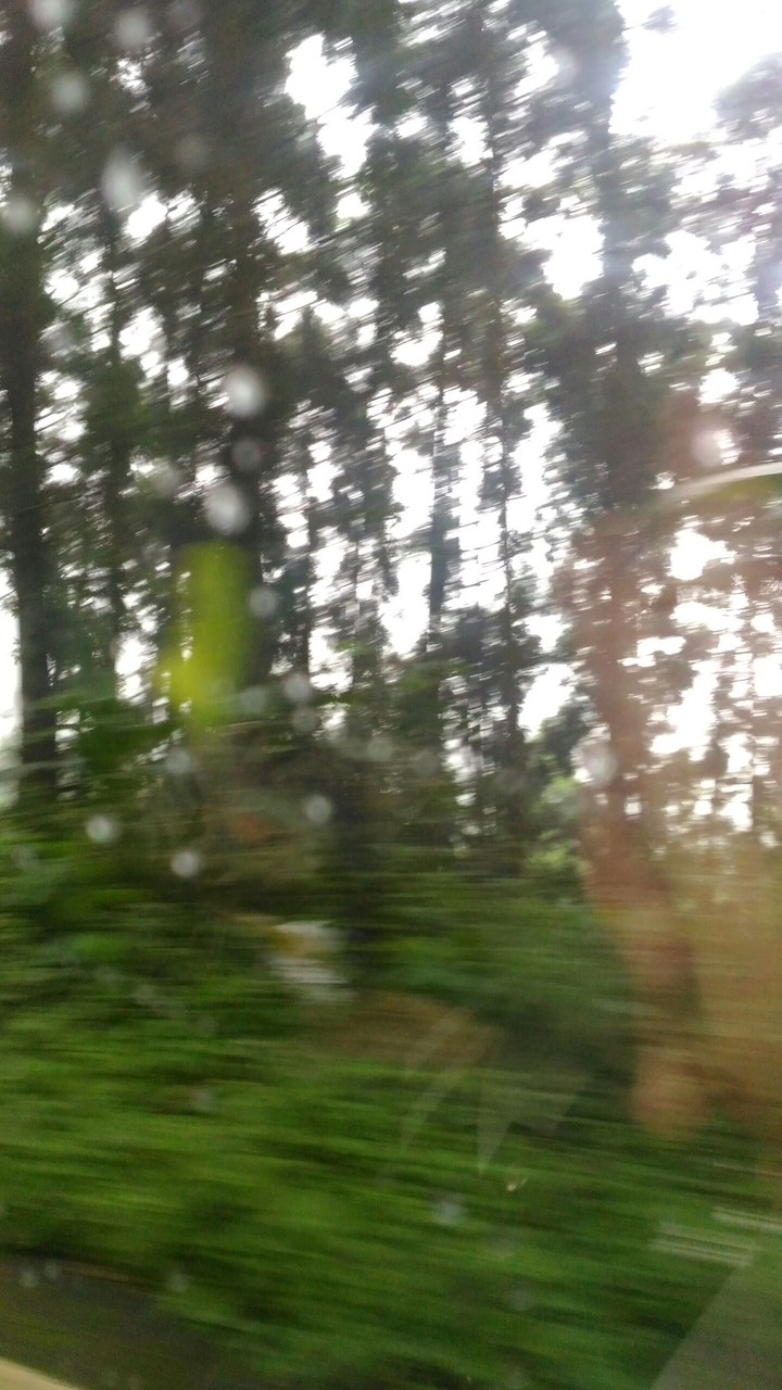 。