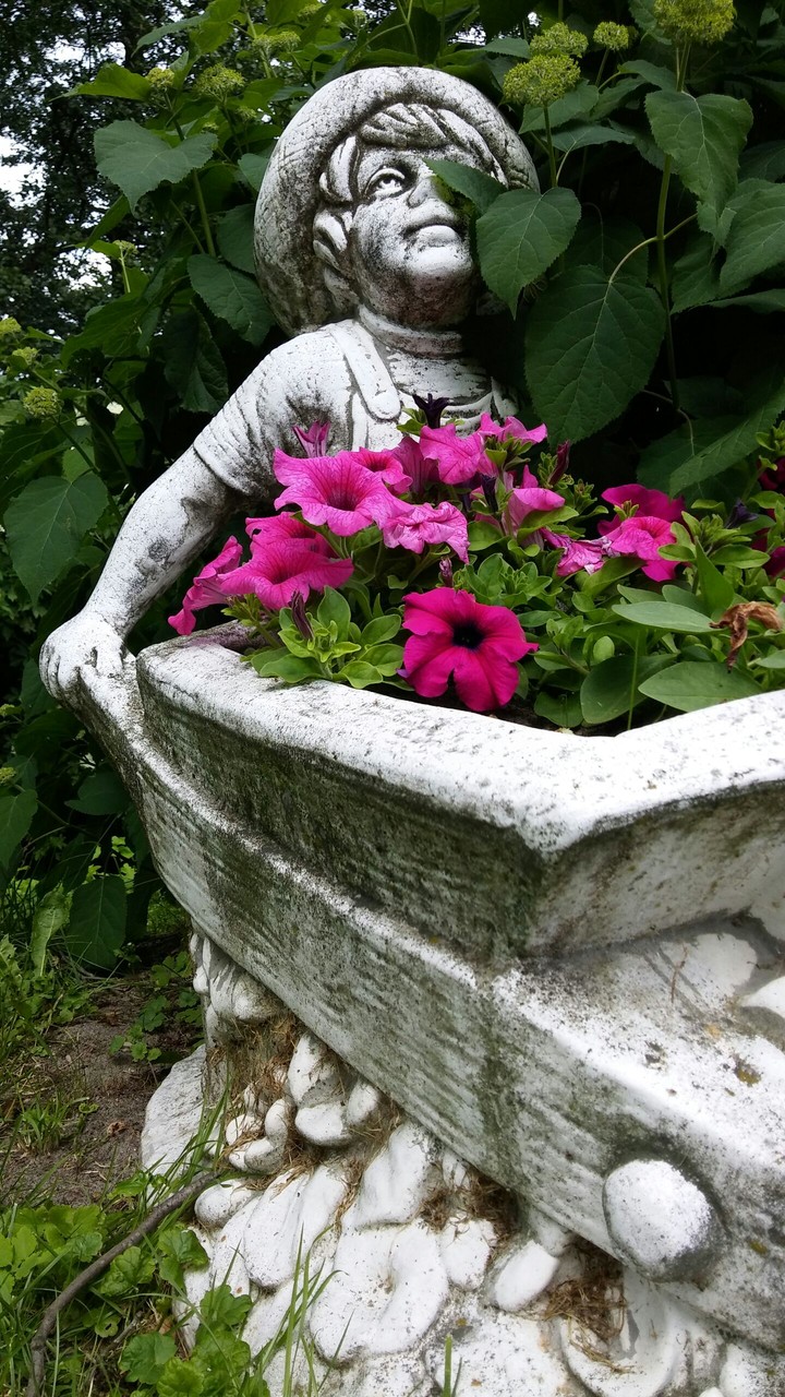Scary Garden