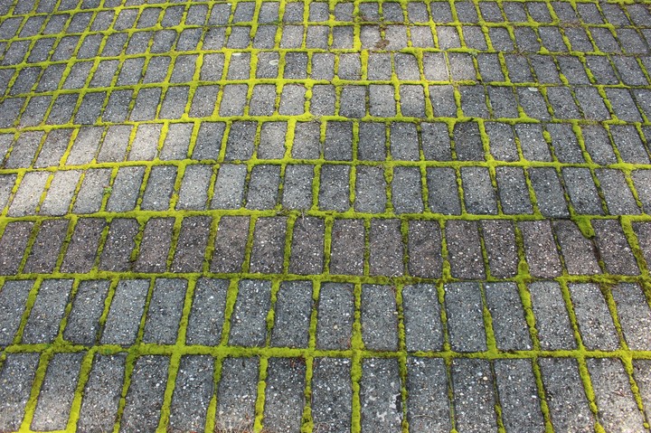 moss and cobblestones