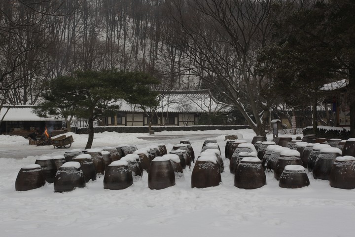 Traditional Culture