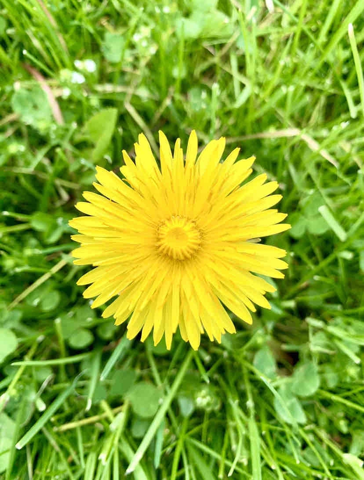 A little sun