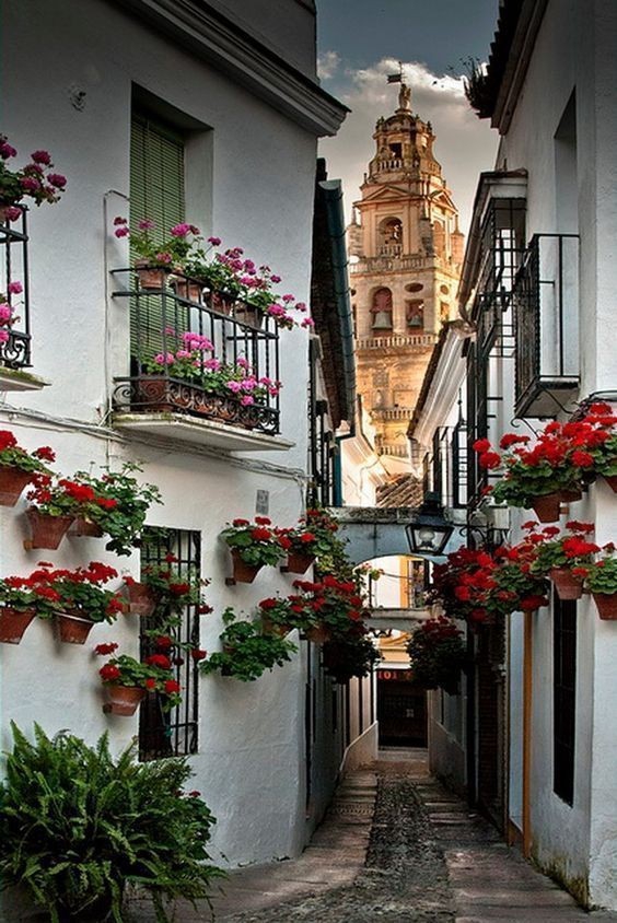 Guanajuato