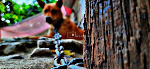 mobile click