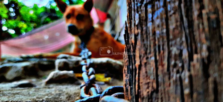mobile click