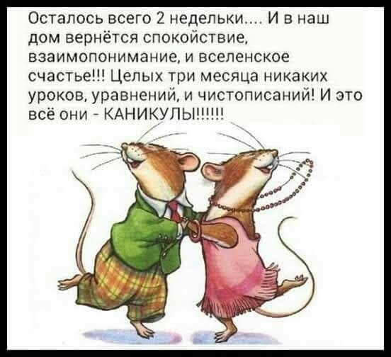 каникулы