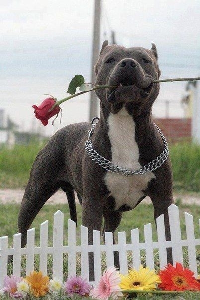 ♥️♥️♥️