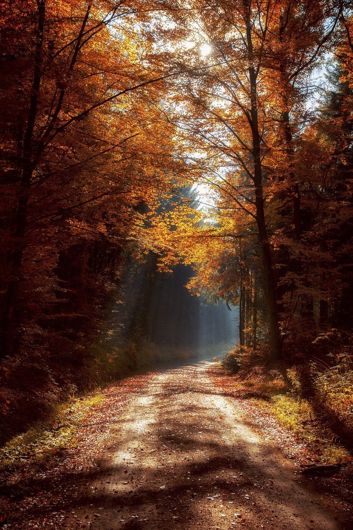 autumn