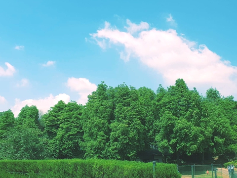 nature