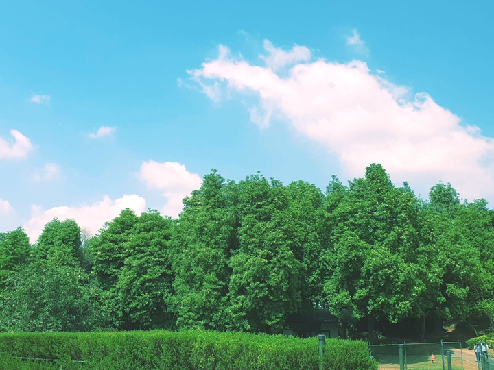 nature