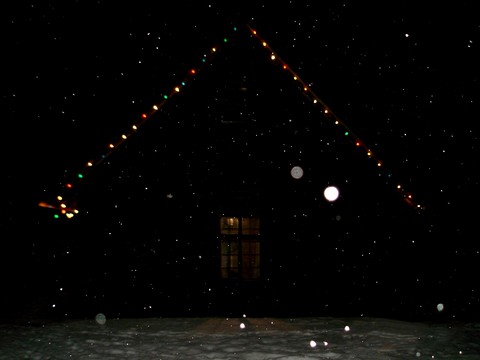 winter wonderland