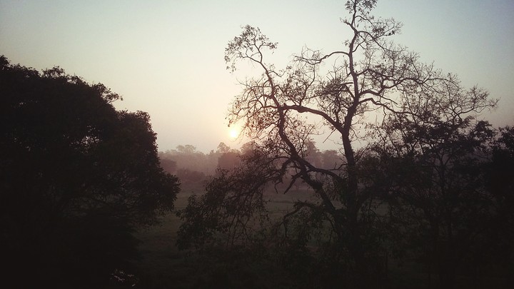 Sun rise