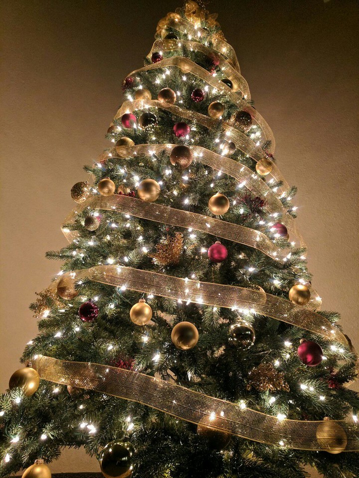 Perfect Christmas Tree