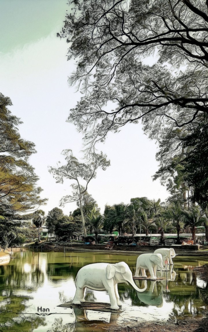 elephant statues in the pond