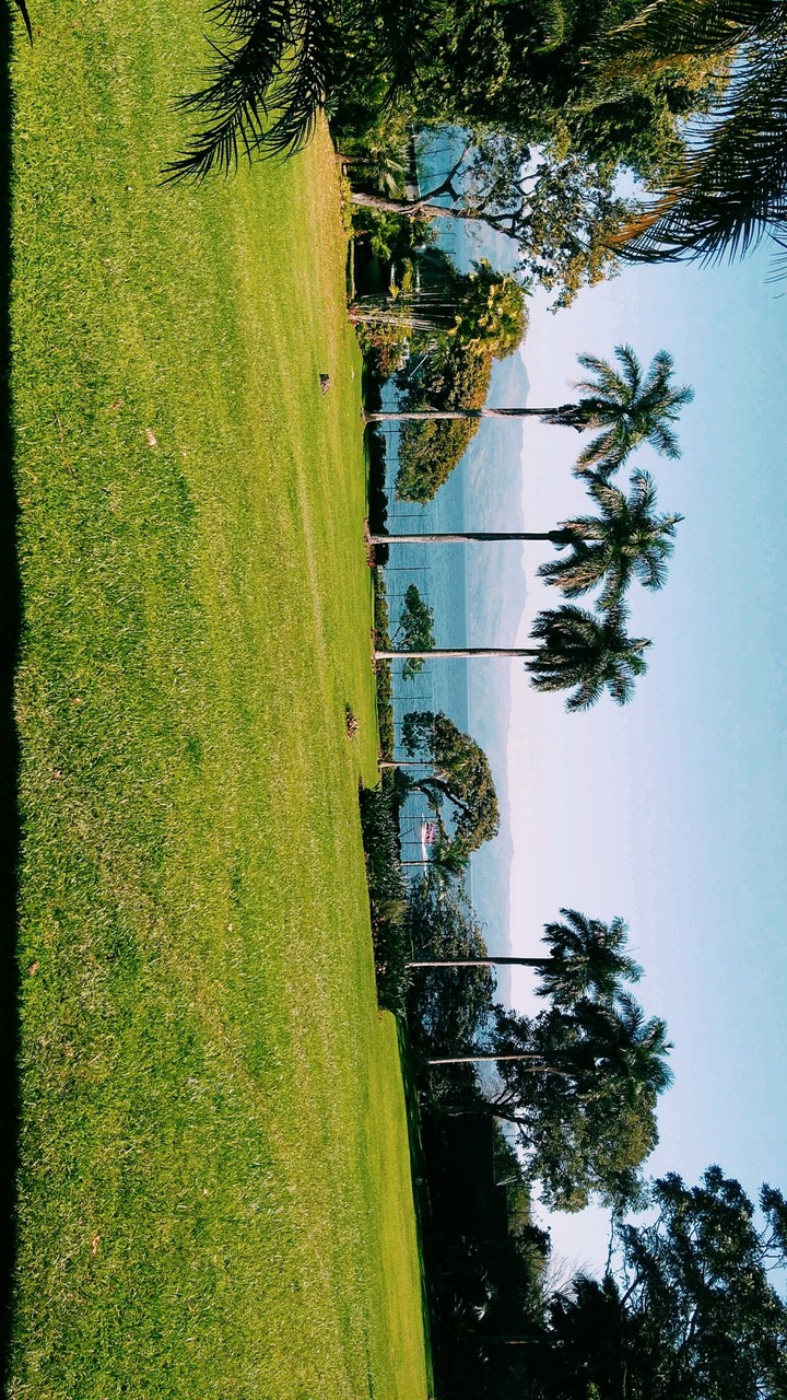 laguna