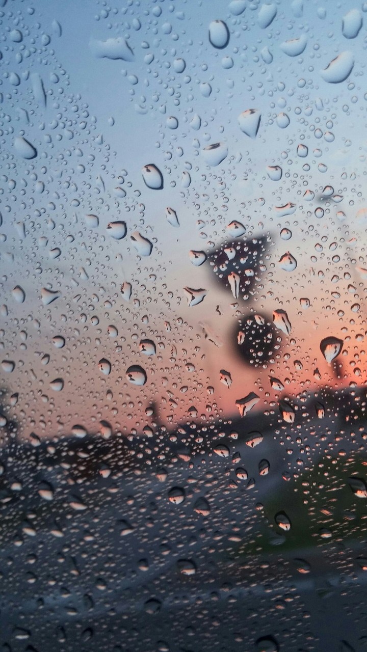 rain