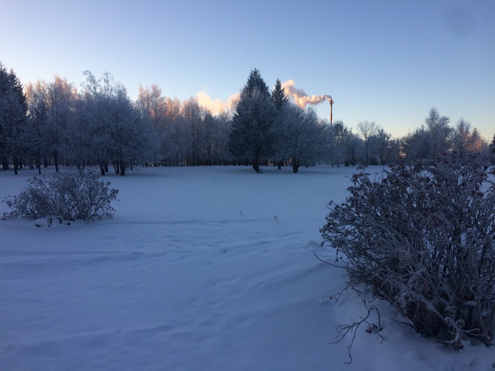 Winter