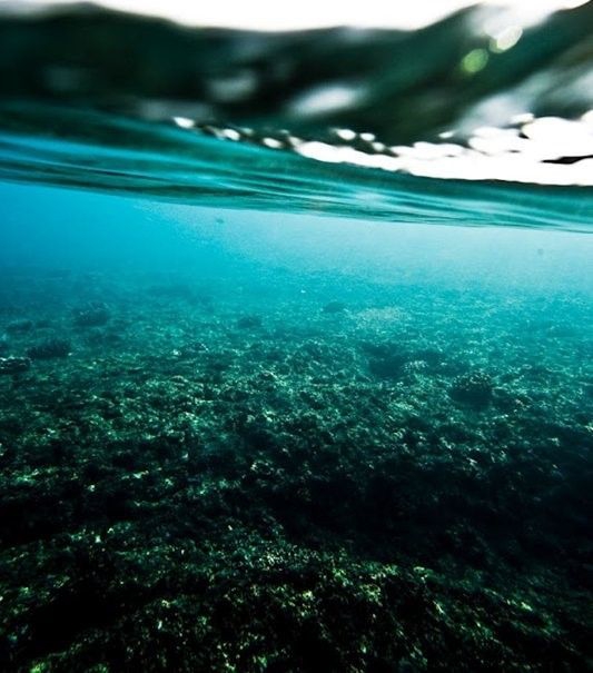 sea