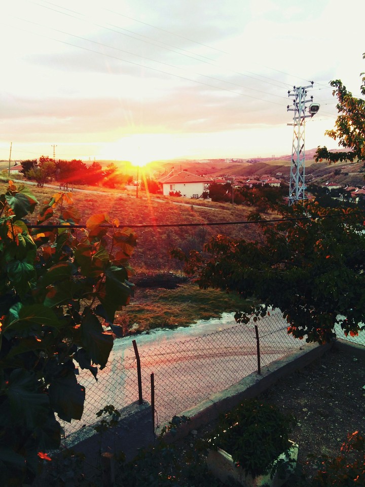 Sunrise