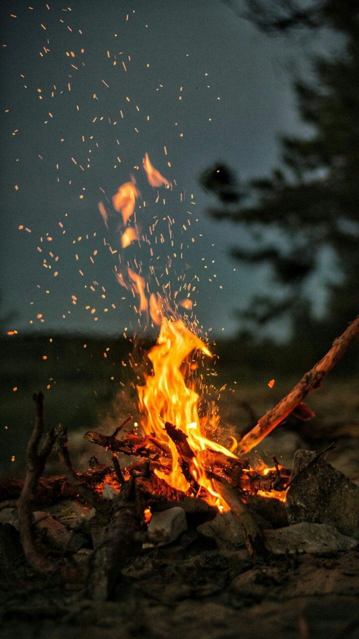 تاریکی شب