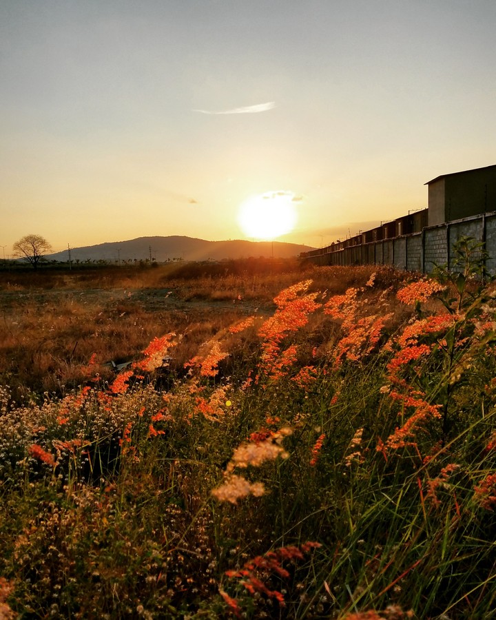 Paisaje atardecer