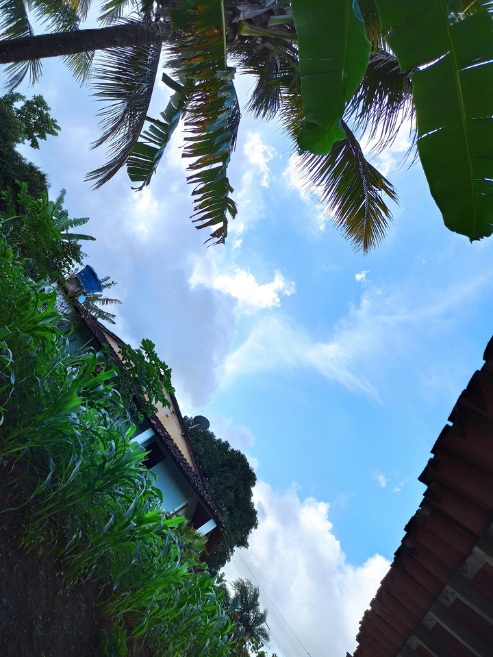 Sky and nature