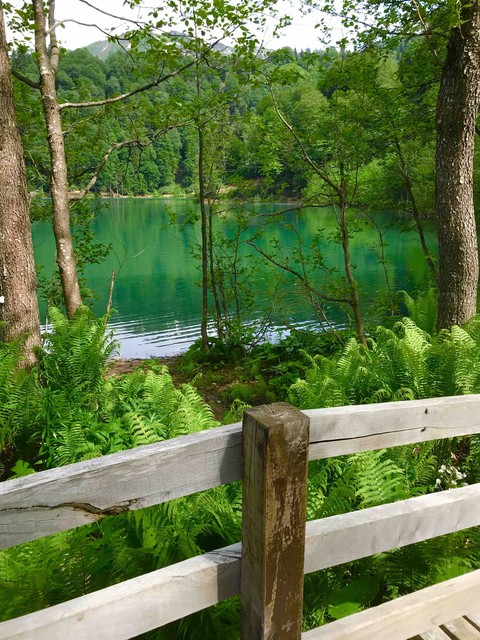 Behind the fence...