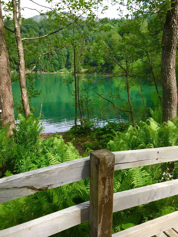 Behind the fence...