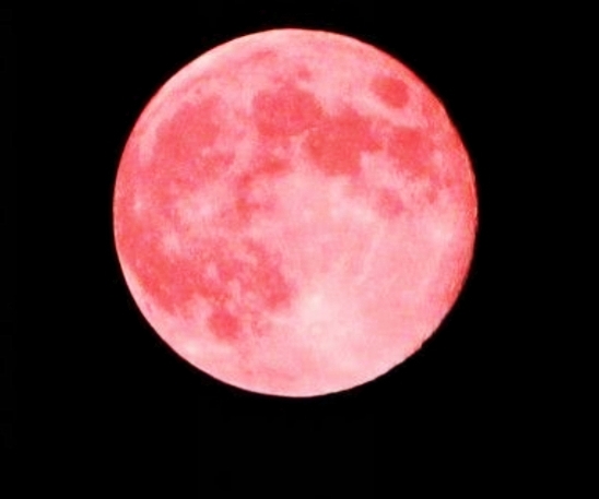 Pink supermoon